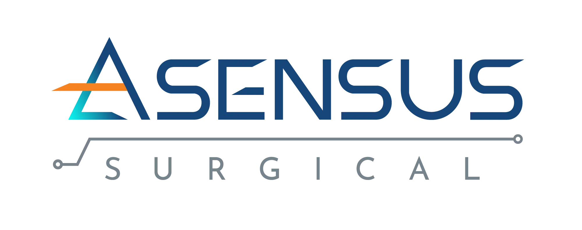 Aensus-Logo
